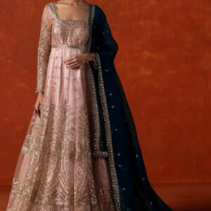 Peach and Blue Embroidered Anarkali